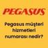 Pegasus müşteri hizmetleri numarası nedir?