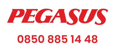 Pegasus İletişim Logo