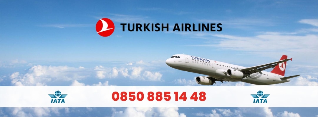 iata-nedir
