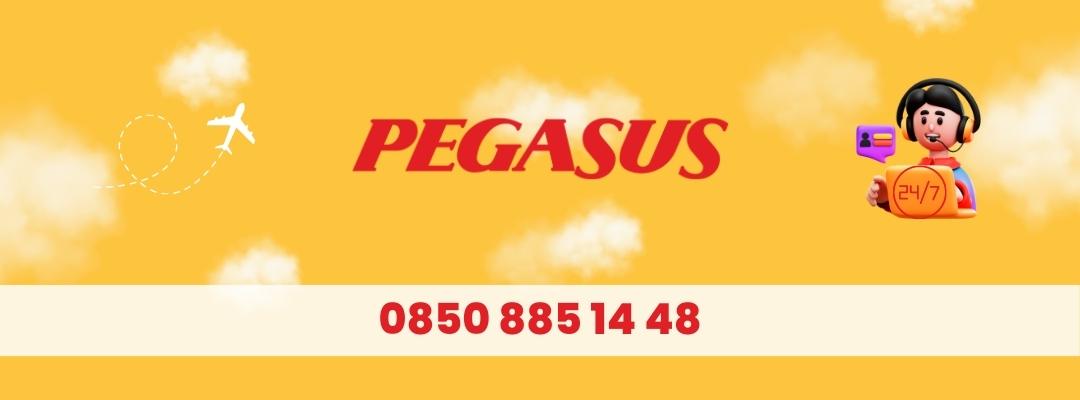 Pegasus Uçak Bileti Telefon