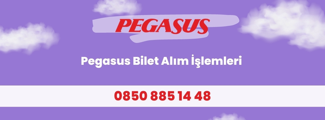 Pegasus Bilet Alım işlemleri