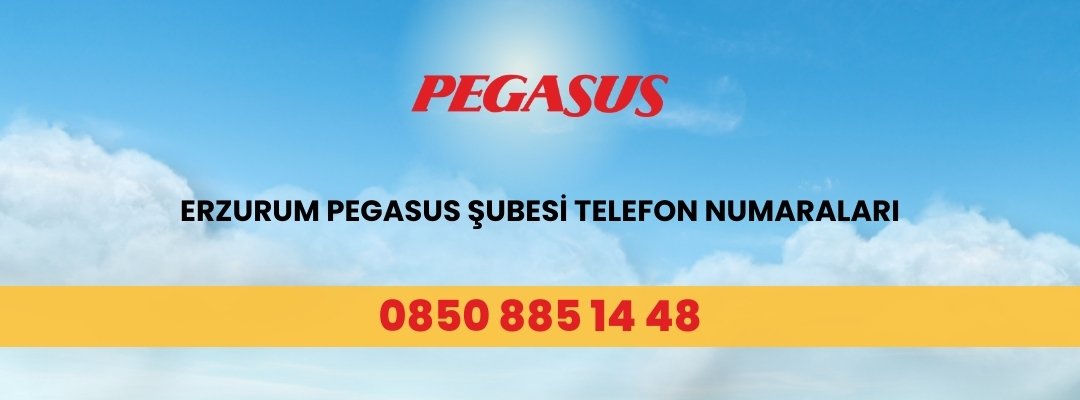 Erzurum Pegasus Şubesi Telefon Numaraları