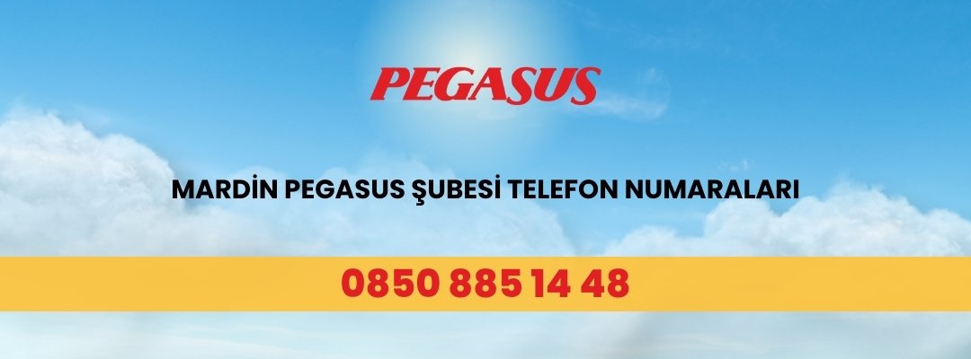 Mardin Pegasus Şubesi Telefon Numaraları
