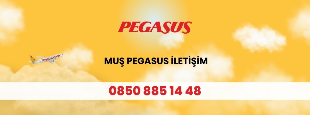 Muş Pegasus İletişim