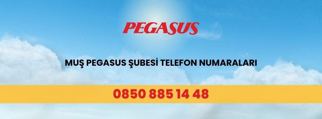 Muş Pegasus Şubesi Telefon Numaraları
