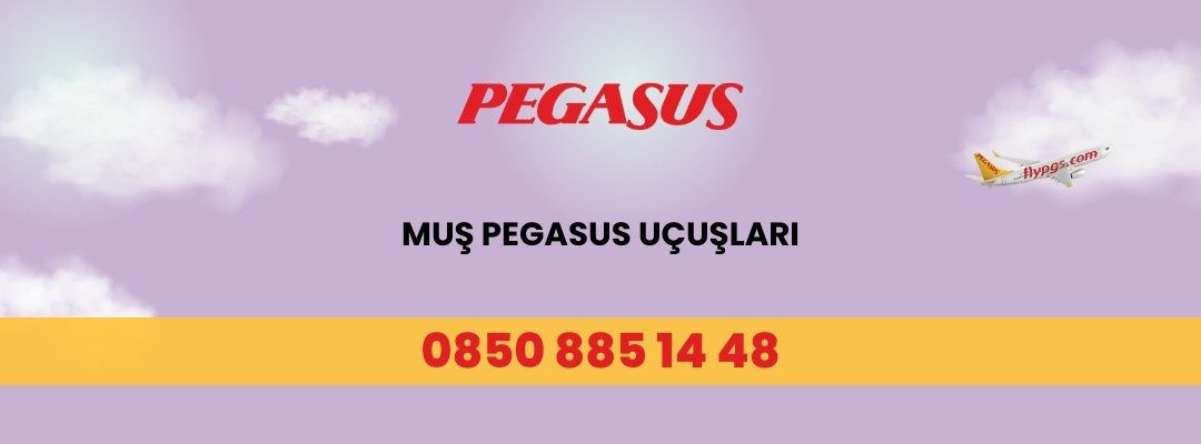 Muş Pegasus Uçuşları