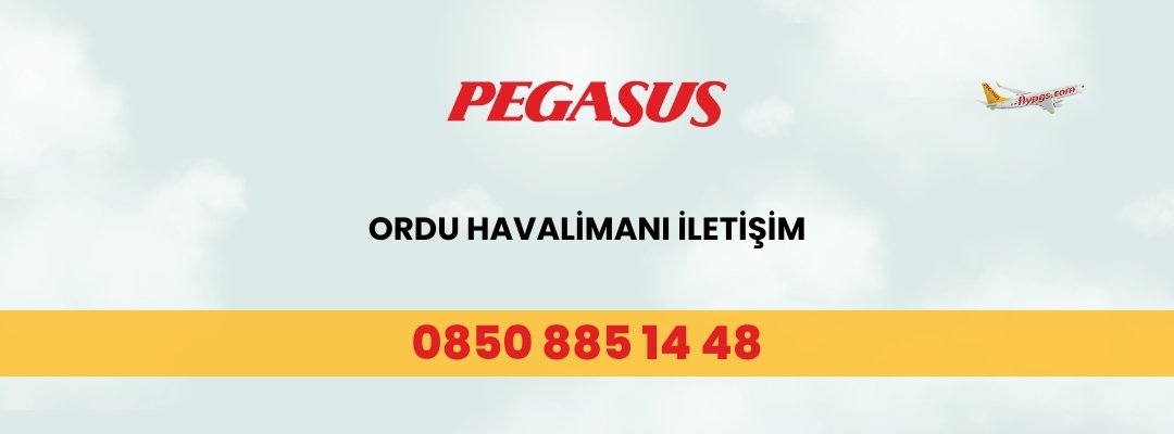 Ordu Havalimanı Pegasus İletişim