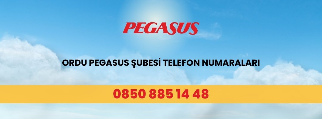 Ordu Pegasus Şubesi Telefon Numaraları