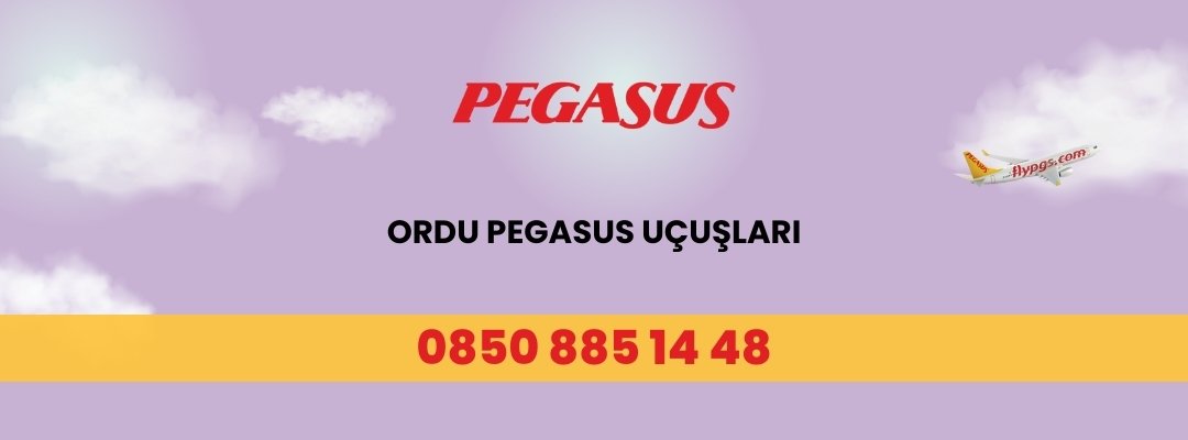 Ordu Pegasus Uçuşları