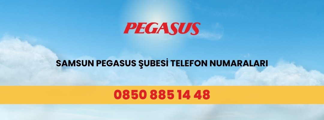 Samsun Pegasus Şubesi Telefon Numaraları